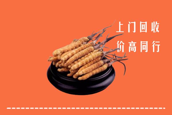 高价求购：阿尔山市回收散虫草