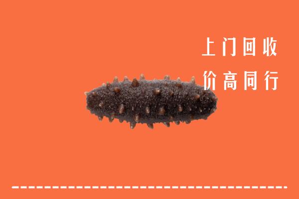 高价求购：阿尔山市回收海参