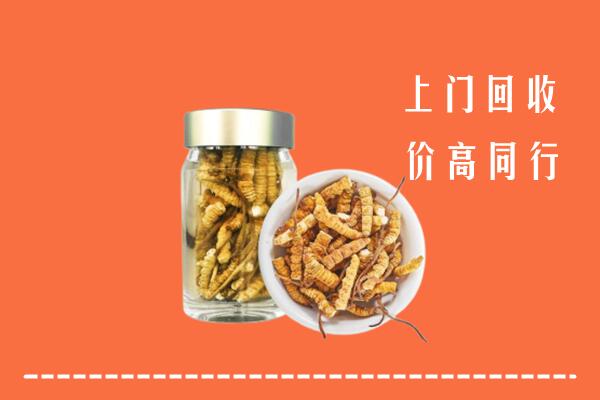 阿尔山市回收冬虫夏草